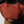 Austin Large